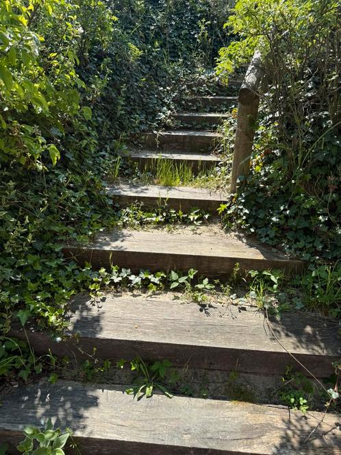 Spoed: tuinman Egmond! 2 dagen tussen 6 mei t/m 9 mei), Diensten en Vakmensen, Tuinmannen en Stratenmakers, Tuinonderhoud of Snoeiwerk