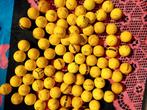Floaters geel, Sport en Fitness, Golf, Ophalen, Gebruikt, Overige merken