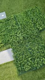 Nieuw ongebruikt kunstof tuin/muurbekleding, Tuin en Terras, Ophalen of Verzenden, Nieuw