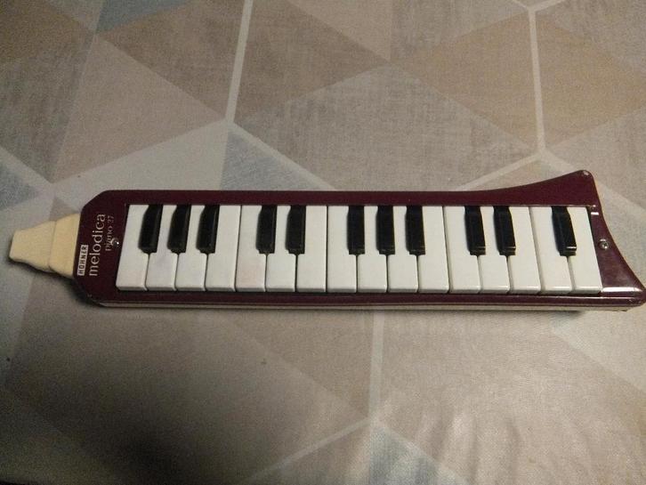 Hohner Melodica piano 27, Muziek en Instrumenten, Blaasinstrumenten | Mondharmonica's, Gebruikt, Overige typen, Ophalen of Verzenden
