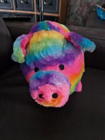 Funky Piggy Rainbow Knuffel beschikbaar voor biedingen