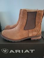 Nieuw ariat jodhpurs wexfort 37, Ariat, Ariat.com, Ophalen of Verzenden, Schoeisel