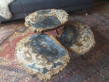 Salontafel van versteend hout (steen) beschikbaar voor biedingen