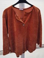 Dames Sweater roestkleur 1 maat (xl), Overige kleuren, Maat 46/48 (XL) of groter, Ophalen of Verzenden, Zo goed als nieuw