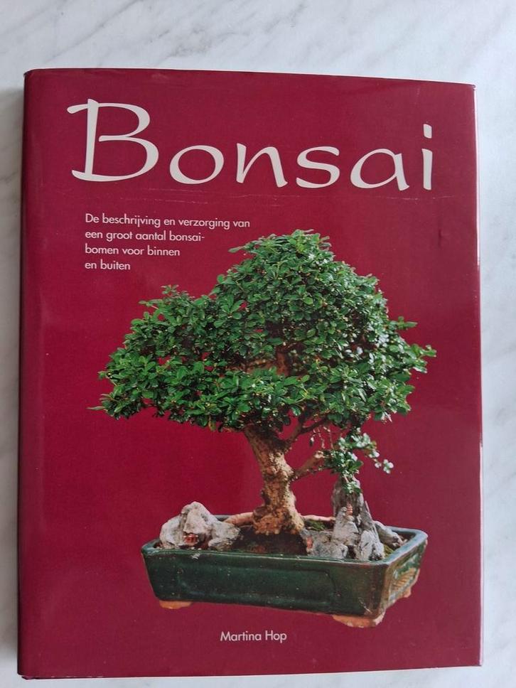 BONSAI door Martina Hop, Boeken, Hobby en Vrije tijd, Zo goed als nieuw, Overige onderwerpen, Ophalen of Verzenden