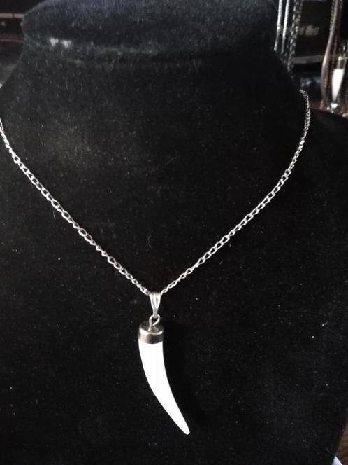 Alligator tand met ketting (indonesië), Sieraden, Tassen en Uiterlijk, Kettingen, Nieuw, Overige materialen, Wit, Met hanger, Verstelbaar