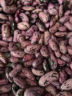 Pronkbonen - Vers & Biologisch, Tuin en Terras, Bloembollen en Zaden, Ophalen of Verzenden, Zaad