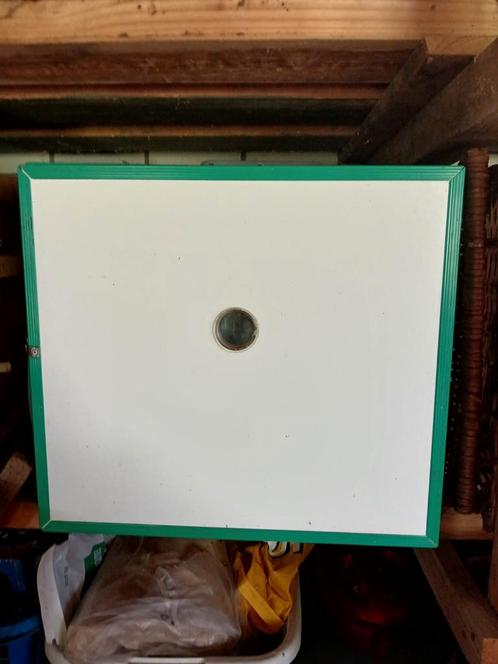 Broedmachine Fiem ( cap. 105 eieren), Dieren en Toebehoren, Pluimvee | Toebehoren, Gebruikt, Broedmachine, Ophalen