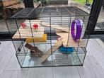 Hamsterkooi met glazen onderkant, inclusief accessoires, Dieren en Toebehoren, Ophalen, Minder dan 75 cm, Kooi, Minder dan 60 cm