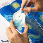 Diamond Painting Set – Twee koolmezen op een tak [Nieuw !], Ophalen of Verzenden, Nieuw