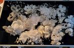 10 bruids/haar corsages EMMERLING, Ophalen of Verzenden, Zo goed als nieuw, Wit, Accessoires