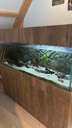 Mooi op maat gemaakt aquarium (150*50*50), Ophalen of Verzenden, Zo goed als nieuw, Leeg aquarium