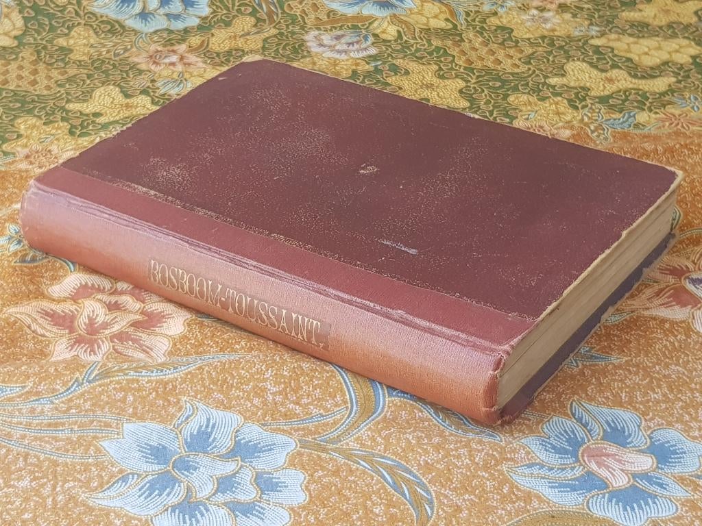 Antiek boek uit Nederland door Bosboom-Toussaint uit 1870., Antiek en Kunst, Ophalen of Verzenden, Bosboom-Toussaint