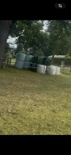 Midibalen hooi paardenhooi Beheersgras - 7 stuks €30, Dieren en Toebehoren, Ophalen, Nieuw