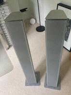 Piega luidsprekers TS5, Audio, Tv en Foto, Luidsprekers, Zo goed als nieuw, 120 watt of meer, Front, Rear of Stereo speakers, Ophalen