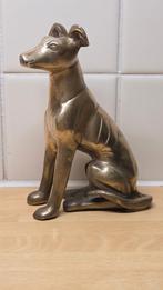 Hazewind hond van messing, Ophalen of Verzenden, Koper