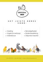 Gezocht, diverse soorten vogels, Meerdere dieren, Parkiet, Geringd