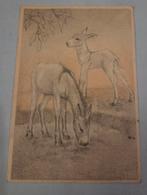 Ezels - Petrus Bernardus Swildens 1946, Verzamelen, Ansichtkaarten | Themakaarten, Verzenden, 1940 tot 1960, Gelopen, Kinderen