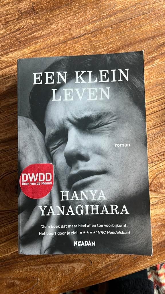 Hanya Yanagihara - Een klein leven, Boeken, Literatuur, Zo goed als nieuw, Amerika, Ophalen of Verzenden