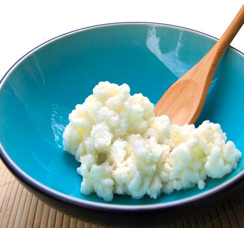 Melkkefirkorrels 50gr Melkkefir BIO - verzending mogelijk, Diversen, Levensmiddelen, Ophalen of Verzenden