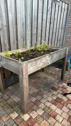 Moestuinbak op poten incl raster, Ophalen, Gebruikt, Kweekbak