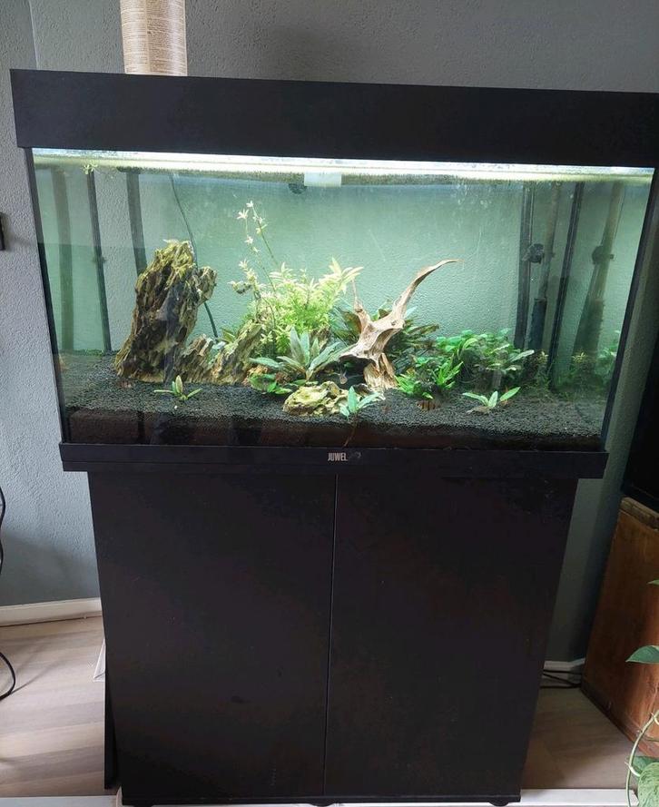 Compleet juwel rio 125 aquarium, Dieren en Toebehoren, Vissen | Aquaria en Toebehoren, Ophalen