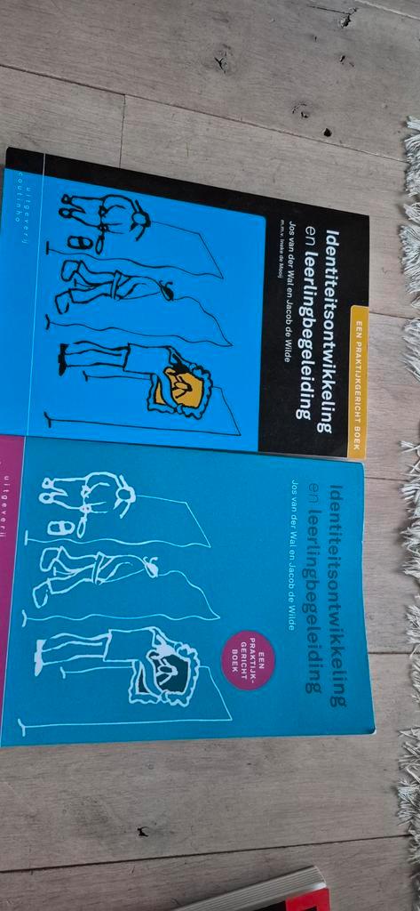 Identiteitsontwikkeling en leerlingbegeleiding, Boeken, Psychologie, Zo goed als nieuw, Ontwikkelingspsychologie, Ophalen of Verzenden