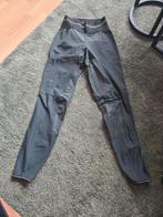 Donkergroen pikeur Grip, Dieren en Toebehoren, Dressuur, Zo goed als nieuw, Dames, Onderkleding