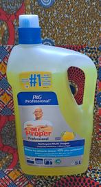 5 Ltr. Mr. Proper Professional Allesreiniger, Ophalen, P&G Professional, Sulzbacher Strasse 40, 65824 Schwalbach am Taunus, Germany