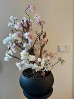 Seta fiori bloesemboom pot bloesem boom kunst, Ophalen, Zo goed als nieuw