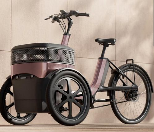 Elektrische Van Raam Thuja (Binnenkort leverbaar), Fietsen en Brommers, Fietsen | Driewielfietsen, Nieuw, Ophalen