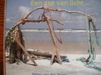 Een zee van licht..Peter van der Ploeg - schilderijen., Ophalen of Verzenden, Zo goed als nieuw, Theo Althuis e.a., Schilder- en Tekenkunst