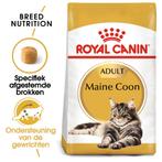 Royal Canin Main Coon Adult - 13 kg, Dieren en Toebehoren, Dierenvoeding, Ophalen of Verzenden, Kat