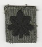 Kraagembleem US Army- Luitenant Kolonel / Lieutenant Colonel, Ophalen of Verzenden, Landmacht, Amerika, Embleem of Badge