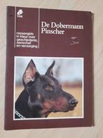DE DOBERMANN PINSCHER RASSENGIDS IN KLEUR OVER GESCHIEDENIS, Ophalen of Verzenden, Zo goed als nieuw, Overige onderwerpen