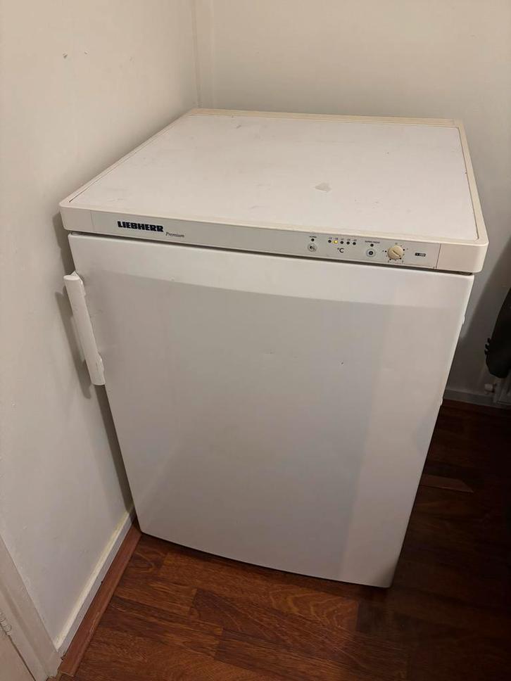 Liebherr Tafelmodel Vriezer - Perfect voor Kleine Ruimtes!, Witgoed en Apparatuur, Vriezers en Diepvrieskisten, Gebruikt, Vrijstaand