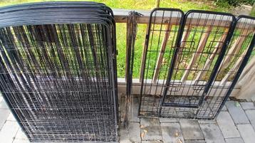 Honden/puppy ren 20 stuks beschikbaar voor biedingen
