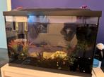 Aquarium 40 liter, Ophalen of Verzenden, Zo goed als nieuw, Leeg aquarium