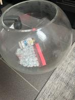 Vissenkom, Ophalen of Verzenden, Zo goed als nieuw, Leeg aquarium