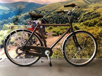 Raleigh Maddox,  Heren  57CM beschikbaar voor biedingen