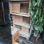 6 Duiven bakken 70 cm breed, Dieren en Toebehoren, Vogels | Duiven, Meerdere dieren