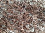 Mooie bruin tapijt, 200 cm of meer, 150 tot 200 cm, Rechthoekig, Bruin
