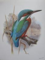 borduren borduurpatroon patronen PERMIN ijsvogels, Hobby en Vrije tijd, Ophalen of Verzenden, Zo goed als nieuw, Handborduren