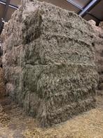 Grote balen duits hooi te koop, Ophalen of Verzenden, Vee