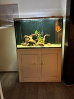 Aquarium 385l, Dieren en Toebehoren, Vissen | Aquaria en Toebehoren, Ophalen, Gebruikt, Leeg aquarium