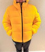 napapijri winter jas / ski jas, Ophalen of Verzenden, Zo goed als nieuw, Overige maten, Blauw