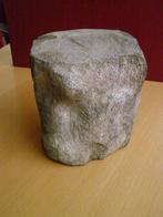 FOSSIEL WERVEL WALVIS 4 kilo 14 x 16 x 16,5 cm BODEMVONDST, Ophalen of Verzenden