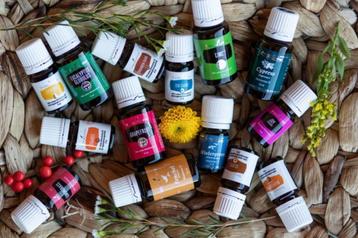 Aroma Chaya ruimt op!!! beschikbaar voor biedingen