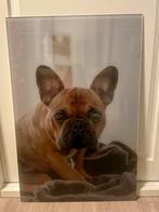 Wanddecoratie Franse Bulldog 84x56cm, Ophalen, Zo goed als nieuw