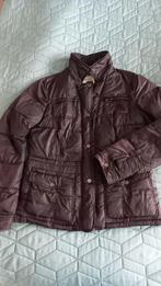 Geox Dames winterjack, Geox, Ophalen of Verzenden, Bruin